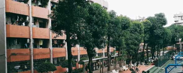 广东科学技术职业学院怎么样、好不好