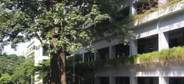 珠海市第二中学