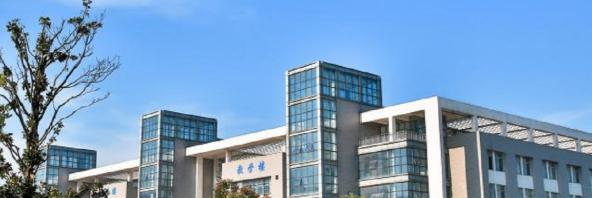 合肥职业技术学院2020年有哪些专业