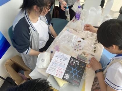 滴胶标本.jpg
