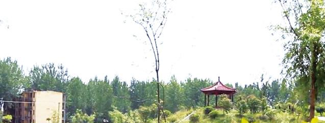 徐州爱尔国际学校初中部2020年招生简章