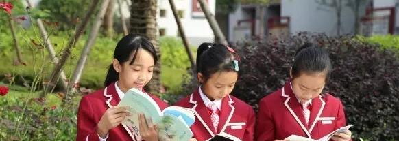 遂宁东辰荣兴国际学校小学部2020年招生办