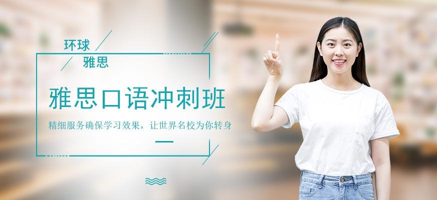 环球雅思口语外教一对一考前冲刺班配图