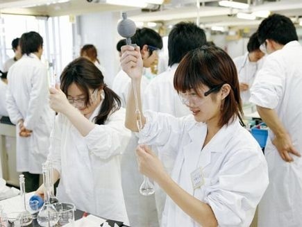 神奈川大学