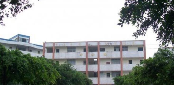 四川仁寿清水中学