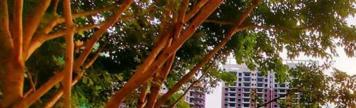 梧州电子科技职业技术学校