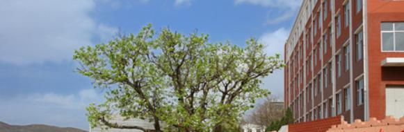 承德护理职业学院单招