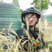互动沟通