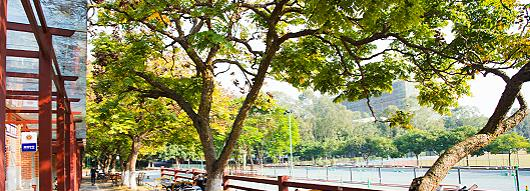 广西职业技术学院网站