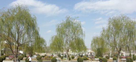 定西师范高等专科学校2020年招生代码