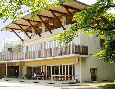 路德学院大学
