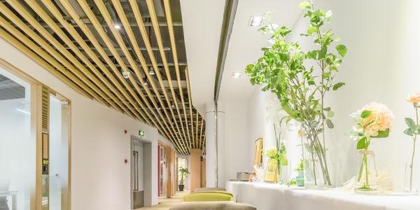 烟台新励成好吗