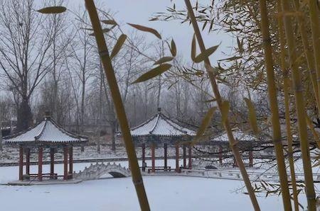 橘郡国际（北京校区）