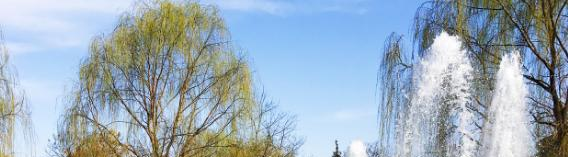 定西师范高等专科学校单招2020年单独招生报名条件、招生要求、招生对象