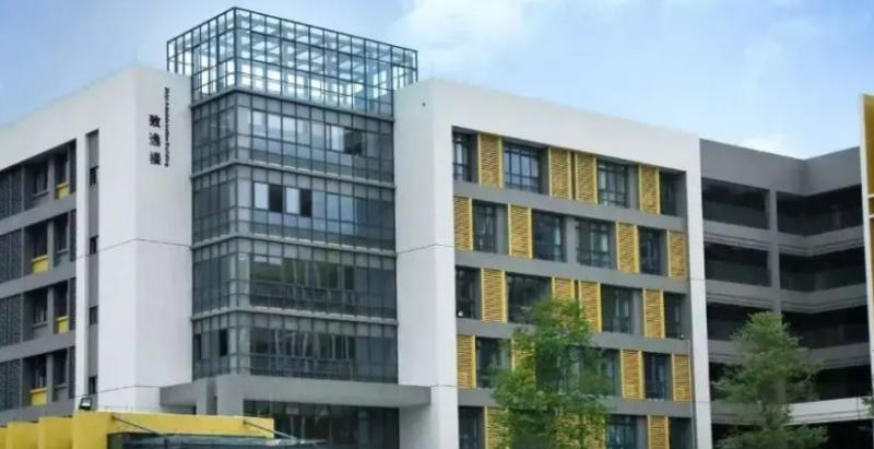 佛山协同国际学校怎么样