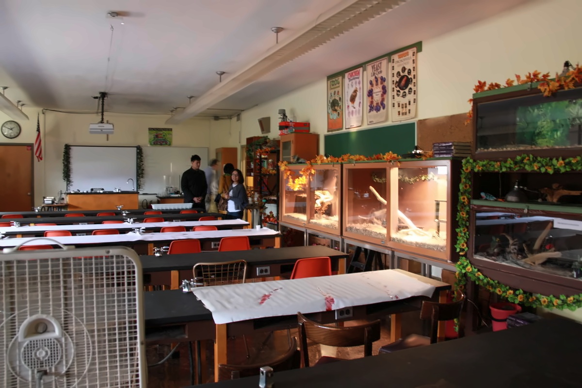 教学设施