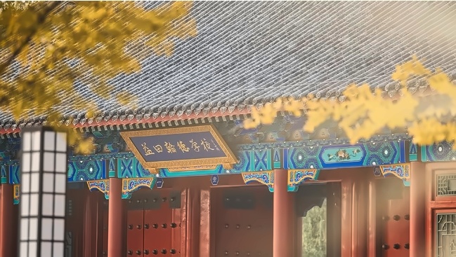 截图20240717162244.jpg