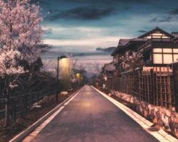 教学品牌