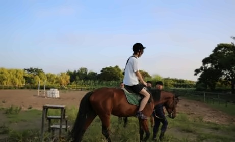 美华学校背景提升服务