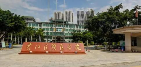 右江民族医学院有哪些中外合作办学专业?(附名单)