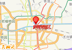庐阳校区