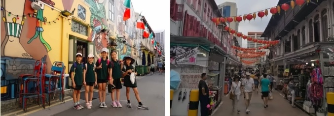 汇佳研学