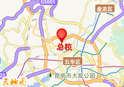 总校
