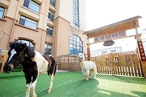 美国(青岛)伍斯特学校动物园