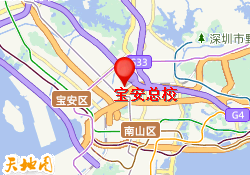 宝安总校