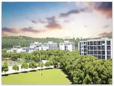 南理工紫金国际教育学院OSSD课程