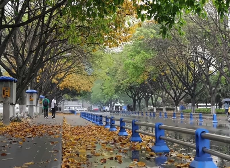 四川大学