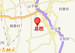 总校