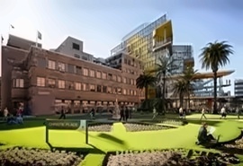 澳大利亚纽卡斯尔大学硕士预科项目招生简章