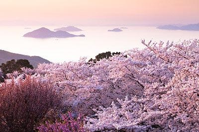 日语培训