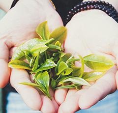 核心考点