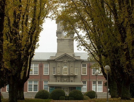 卡莫森学院