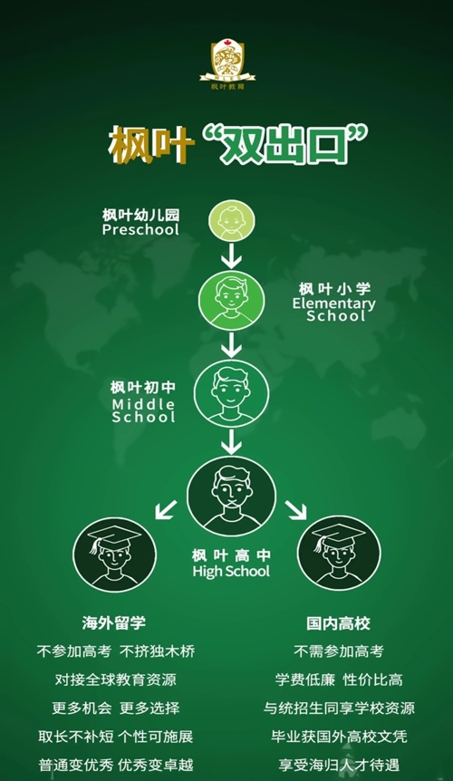 枫叶双出口.jpg