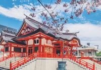 历史学习