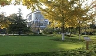 北京市海淀外国语藤飞学校
