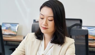 引入理念