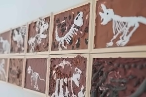 北京市朝阳区博雅明悦学校校园