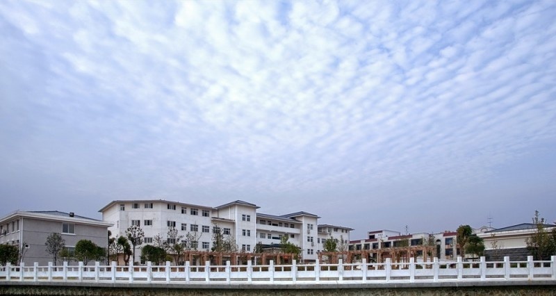 武汉警官职业学院2019年单招录取分数线