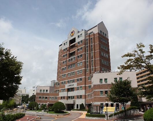 庆星大学
