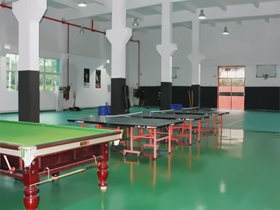 深圳市博纳学校室内运动