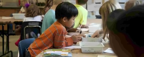 2024年北京德闳学校小学部招生计划