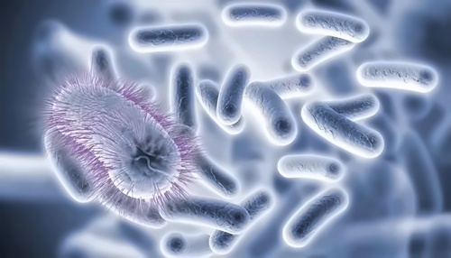 生物课