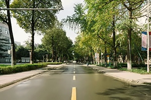 电子科技大学加拿大国际课程校园道路