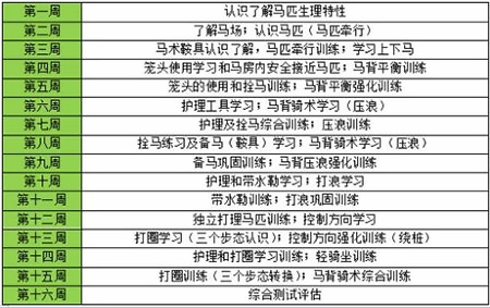 句容碧桂园学校马术课程.jpg