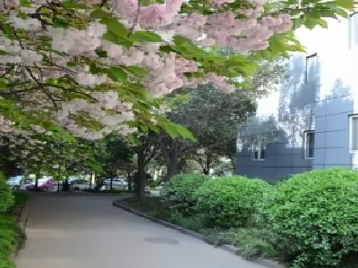 河南科技大学附属高级中学校园环境