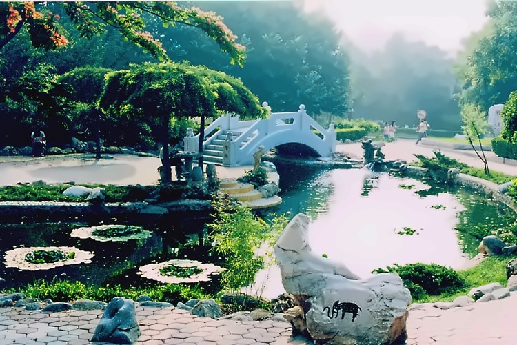 东北财经大学
